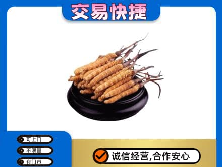 山阳县礼品回收散虫草.jpg